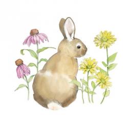 Wildflower Bunnies I Sq | Obraz na stenu