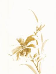 Sumi Daylily IV Gold | Obraz na stenu