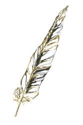 Gilded Swan Feather II | Obraz na stenu