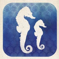 Watermark Seahorse | Obraz na stenu