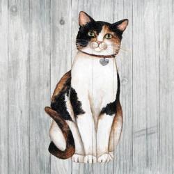 Country Kitty III on Wood | Obraz na stenu