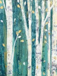 Birches in Spring III | Obraz na stenu