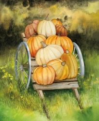 Pumpkin Harvest | Obraz na stenu