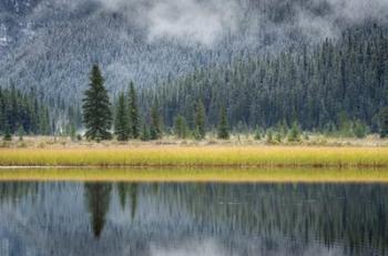 Waterfowl Lake II | Obraz na stenu