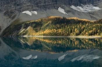 Floe Lake | Obraz na stenu