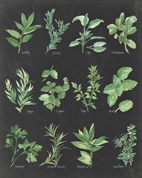 Herb Chart on Black | Obraz na stenu