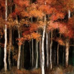 October Woods | Obraz na stenu