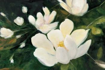 Magnolia Blooms No Petal | Obraz na stenu