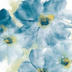 Seashell Cosmos I Blue and Yellow | Obraz na stenu