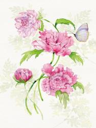 Floral Delight III Butterflies | Obraz na stenu
