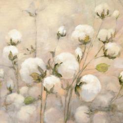 Cotton Field Crop | Obraz na stenu