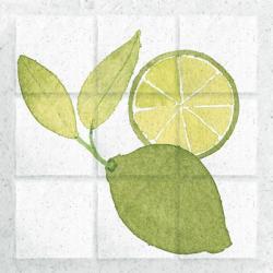 Citrus Tile VII | Obraz na stenu