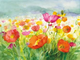 Meadow Poppies | Obraz na stenu