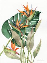 Botanical Birds of Paradise | Obraz na stenu