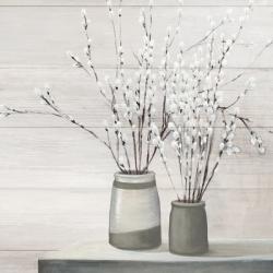 Pussy Willow Still Life Gray Pots Shiplap | Obraz na stenu