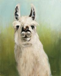 Whos Your Llama I | Obraz na stenu