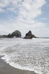 Harris Beach Oregon | Obraz na stenu