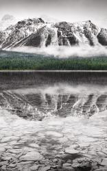 Waterfowl Lake Panel II BW with Color | Obraz na stenu