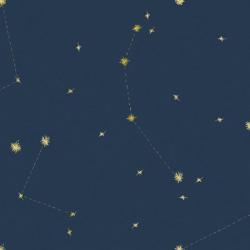 Night Sky Navy and Gold Pattern 05A | Obraz na stenu