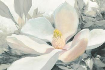 Majestic Magnolia Green Gray Crop | Obraz na stenu