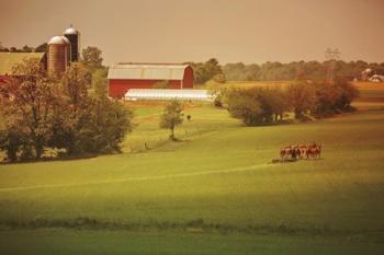 Fall Farm | Obraz na stenu