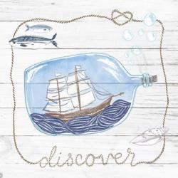 Ship in a Bottle Discover Shiplap | Obraz na stenu