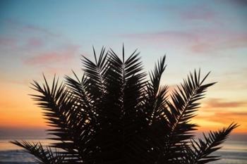 Sunset Palms II | Obraz na stenu