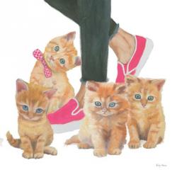 Cutie Kitties I | Obraz na stenu