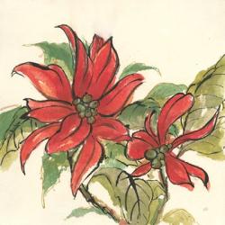 Poinsettia II | Obraz na stenu