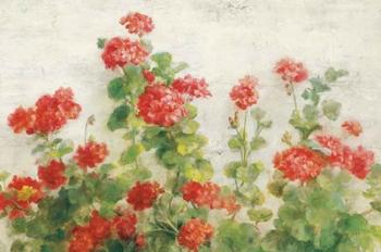 Red Geraniums on White v2 | Obraz na stenu