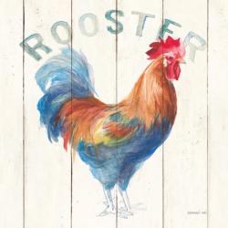 Rooster | Obraz na stenu