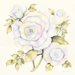 Roses | Obraz na stenu