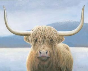 Highland Cow v2 | Obraz na stenu