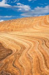 Coyote Buttes V | Obraz na stenu