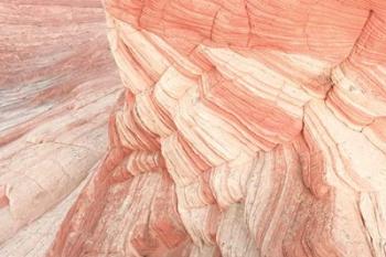 Coyote Buttes VII Blush | Obraz na stenu