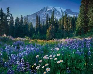 Mount Rainier | Obraz na stenu