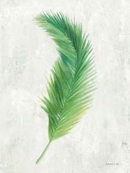 Palms of the Tropics VI | Obraz na stenu