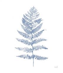 Fern Print II Blue No Shiplap | Obraz na stenu