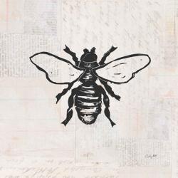 Bee Stamp BW | Obraz na stenu