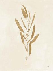 Botanical Study I Gold Crop | Obraz na stenu