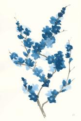Blue Branch II | Obraz na stenu