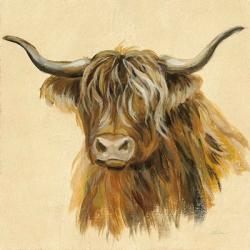 Highland Animal Cow | Obraz na stenu