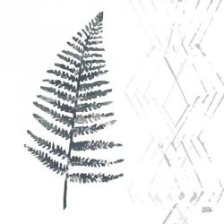 Nordic Fern I | Obraz na stenu