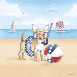 Summer Paws Patriotic II | Obraz na stenu