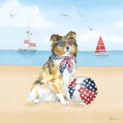 Summer Paws Patriotic V | Obraz na stenu