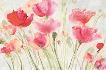 Blush Poppies | Obraz na stenu