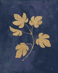 Botanical Study III Gold Navy | Obraz na stenu