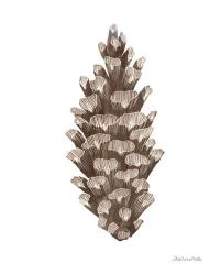 Peace and Joy Pinecone | Obraz na stenu