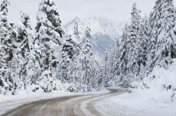 Mount Baker Highway I | Obraz na stenu