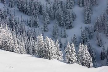 North Cascades in Winter III | Obraz na stenu